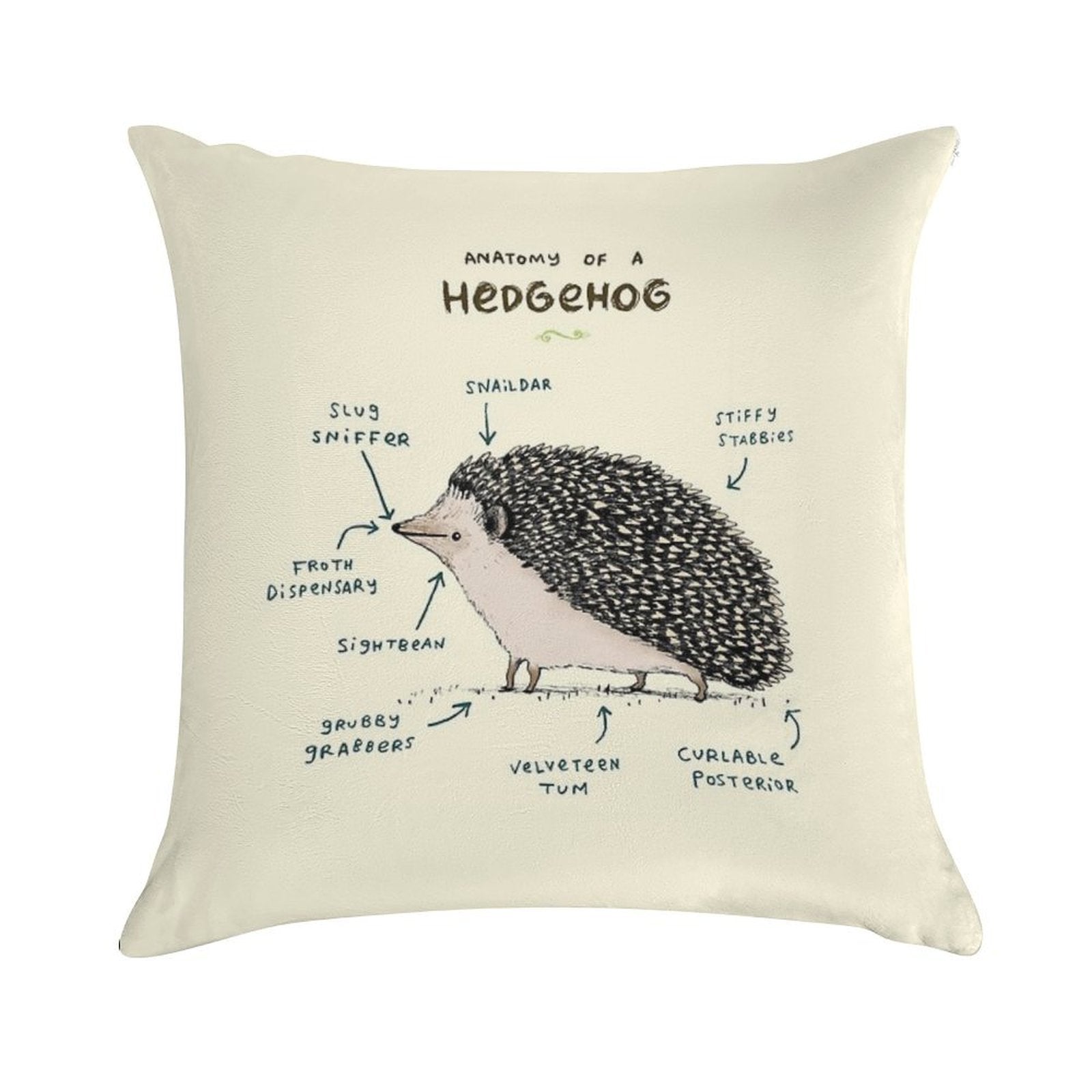 Anatomy of A Hedgehog Soft Warmth Comfort Throw Pillow