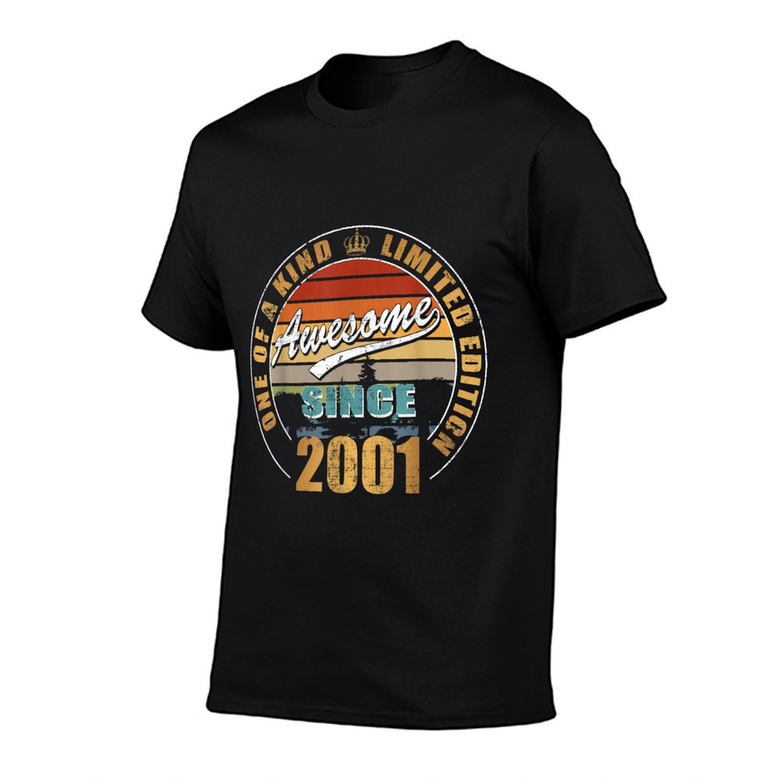 Awesome Since 2001 - For 21 Year Old - 21st Birthday  Durable T-Shirt