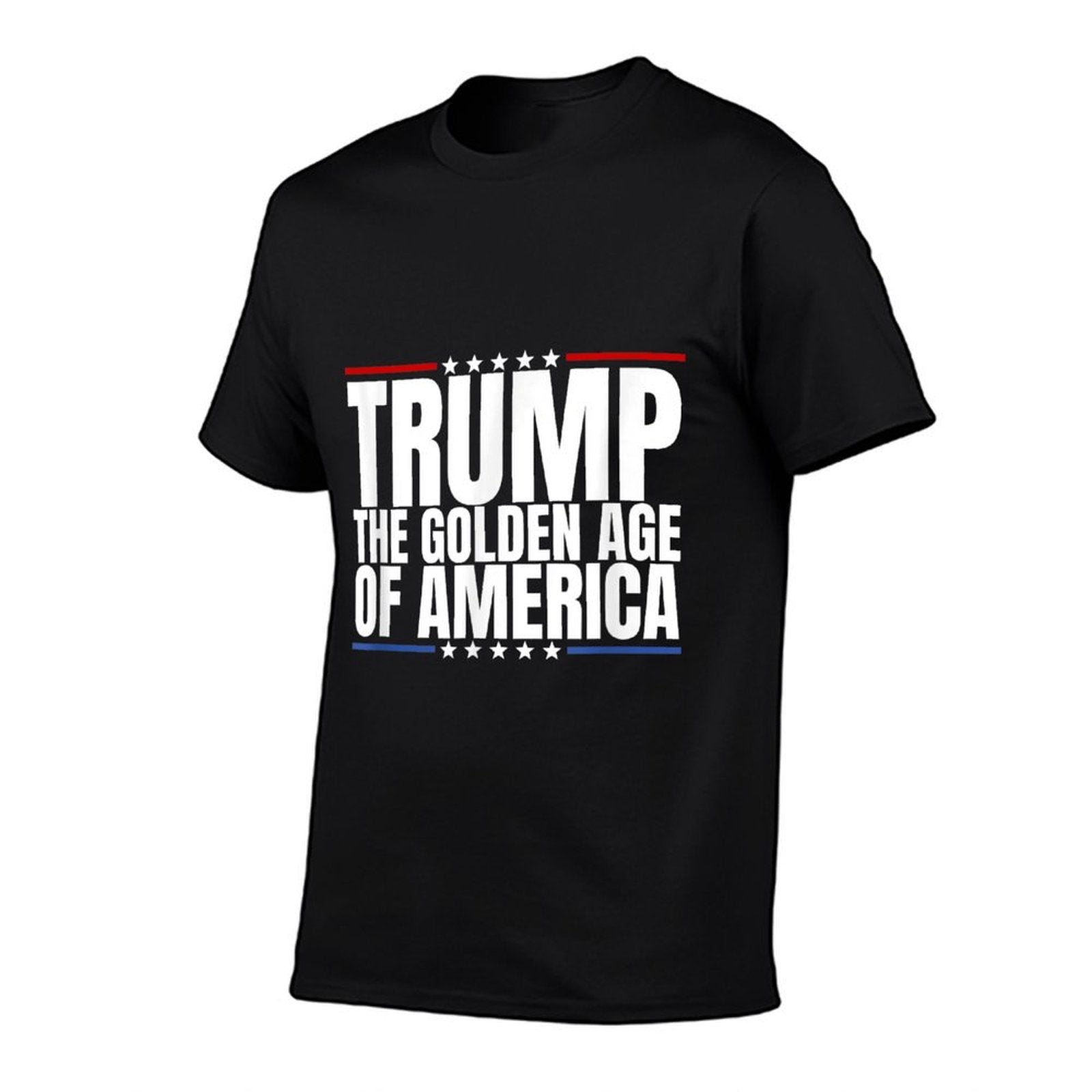 Trump 2024, The Golden Age of America Patriotic Donald Trump  Oversized Silhouette T-Shirt