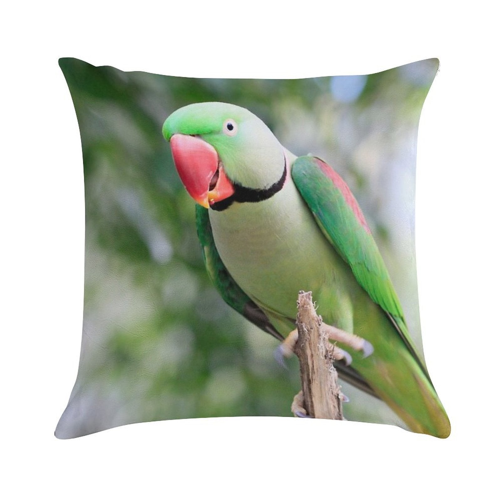 Alexandrine Parrot Soft Ultra-Soft Texture Throw Pillow