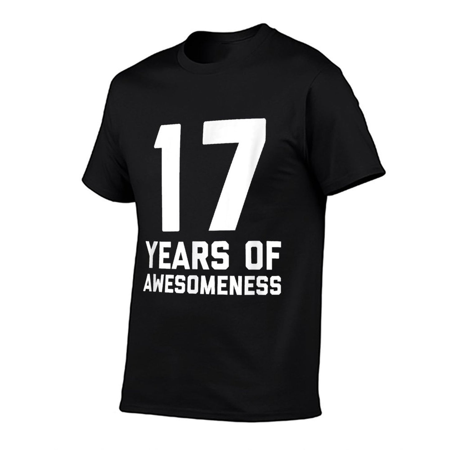 17th Birthday Gift Age 17 Year Old Boy Girl Seventeen Soft T-Shirt