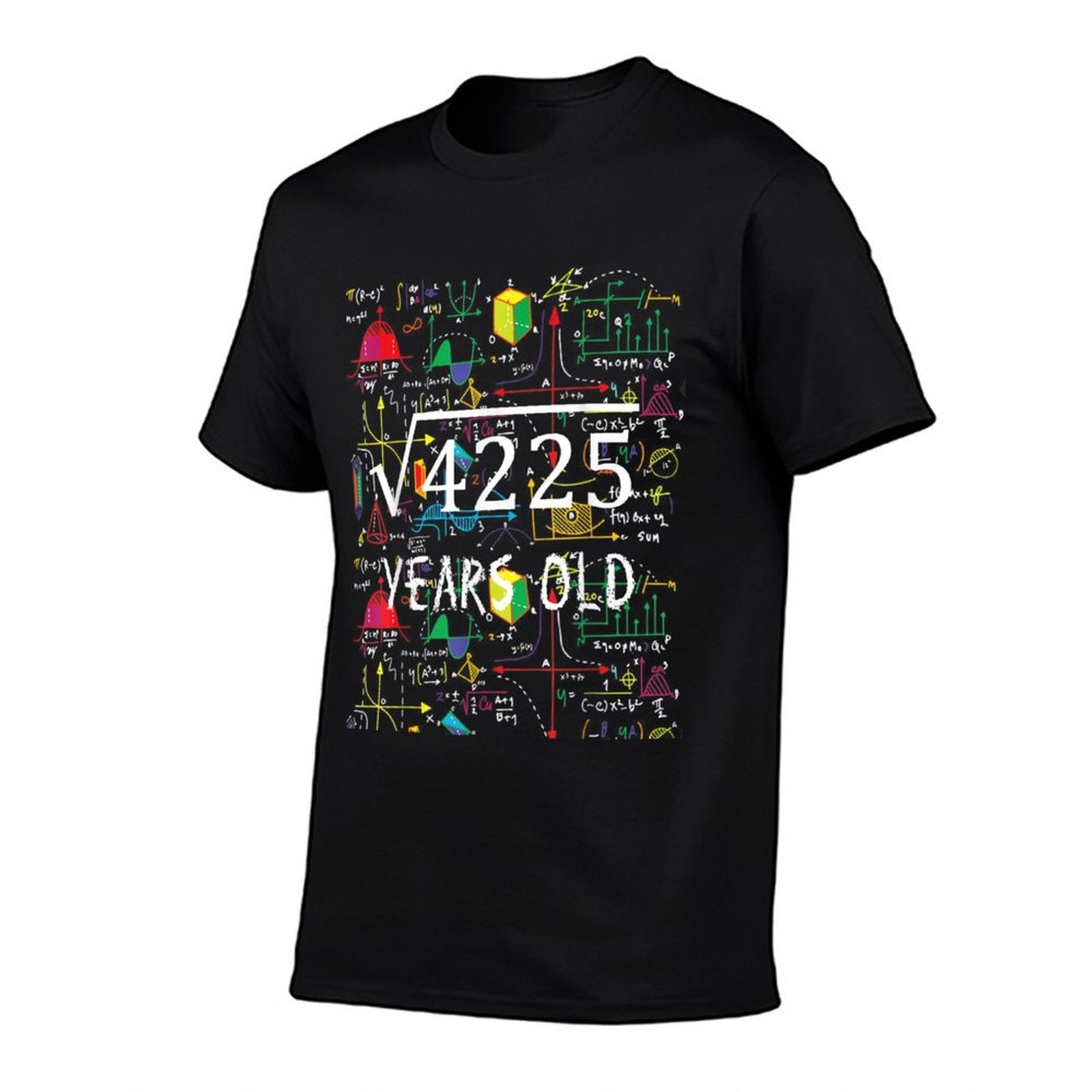 65th Birthday  Classic T-Shirt