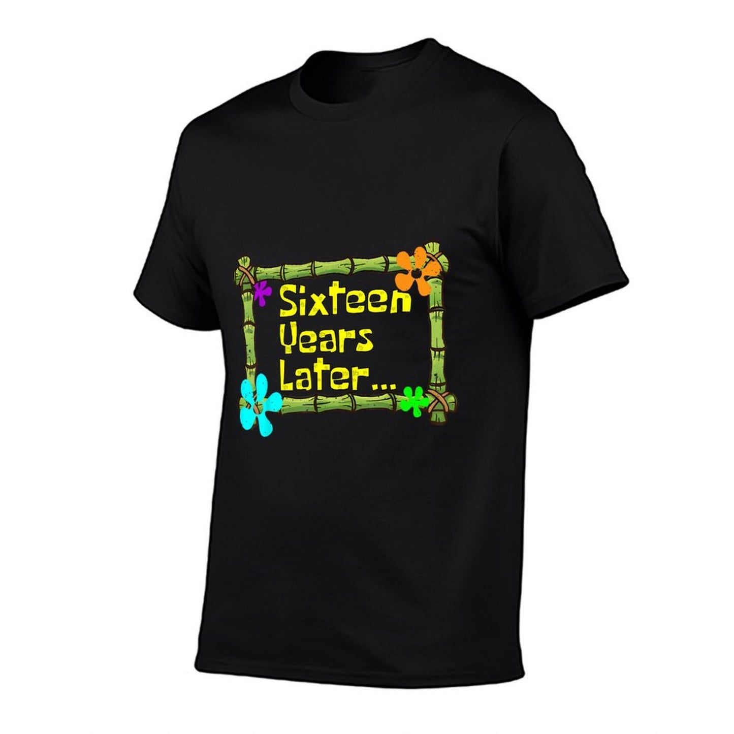 16 Years Later Sixteen Year Old Funny 16th Birthday Party Easy-care T-Shirt
