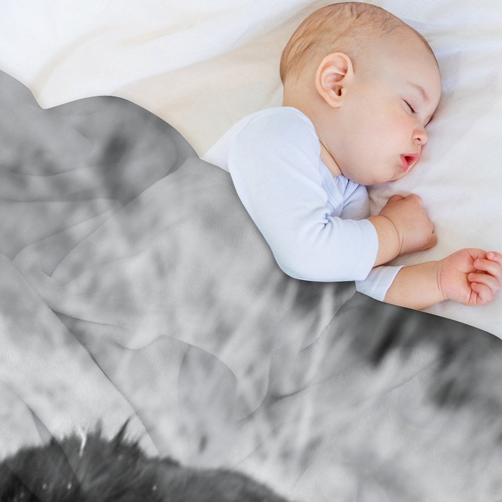 Black And White Border Collie Lying on Ground Compact Throw Blanket