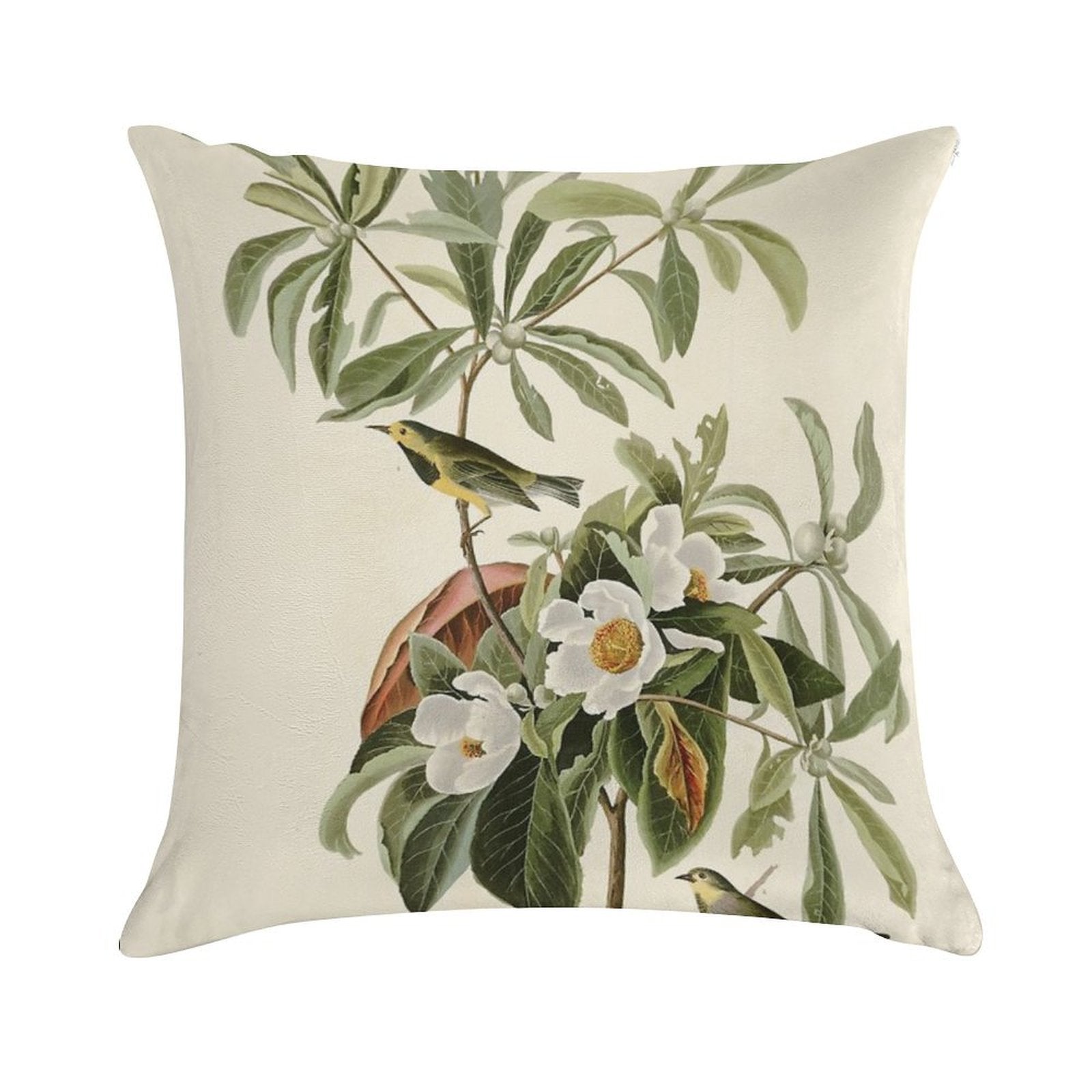 Bachman's Warbler - John James Audubon Birds of America Soft Gift Ready Throw Pillow