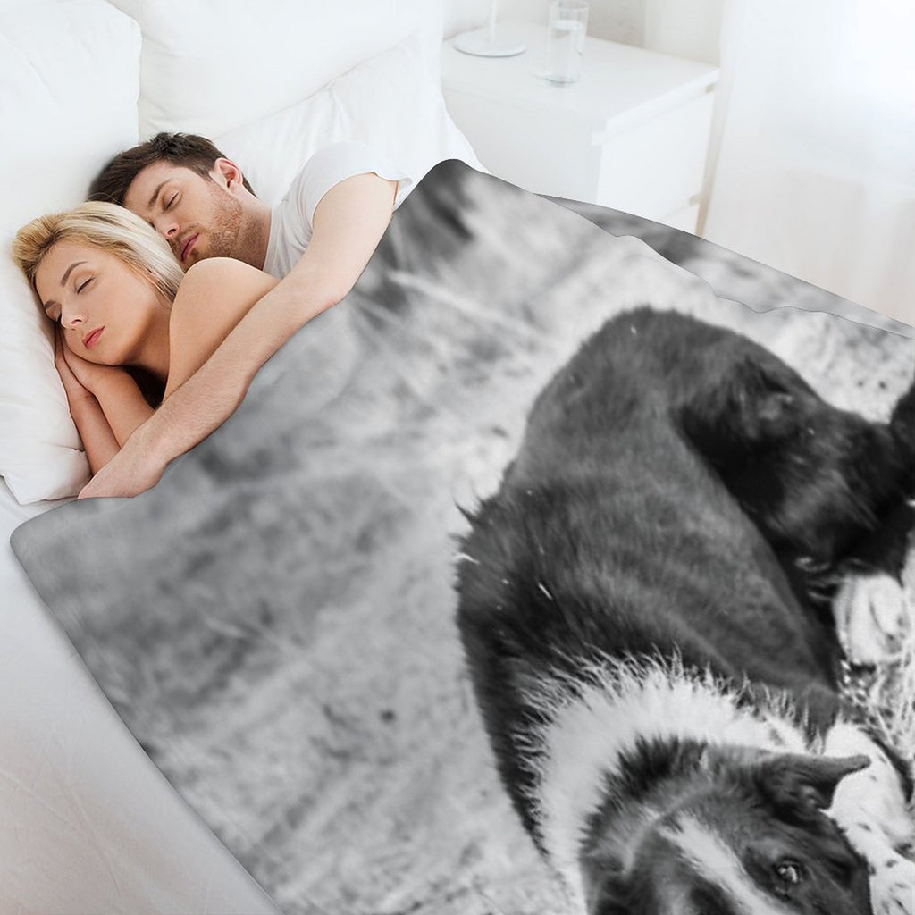 Black And White Border Collie Lying on Ground Compact Throw Blanket