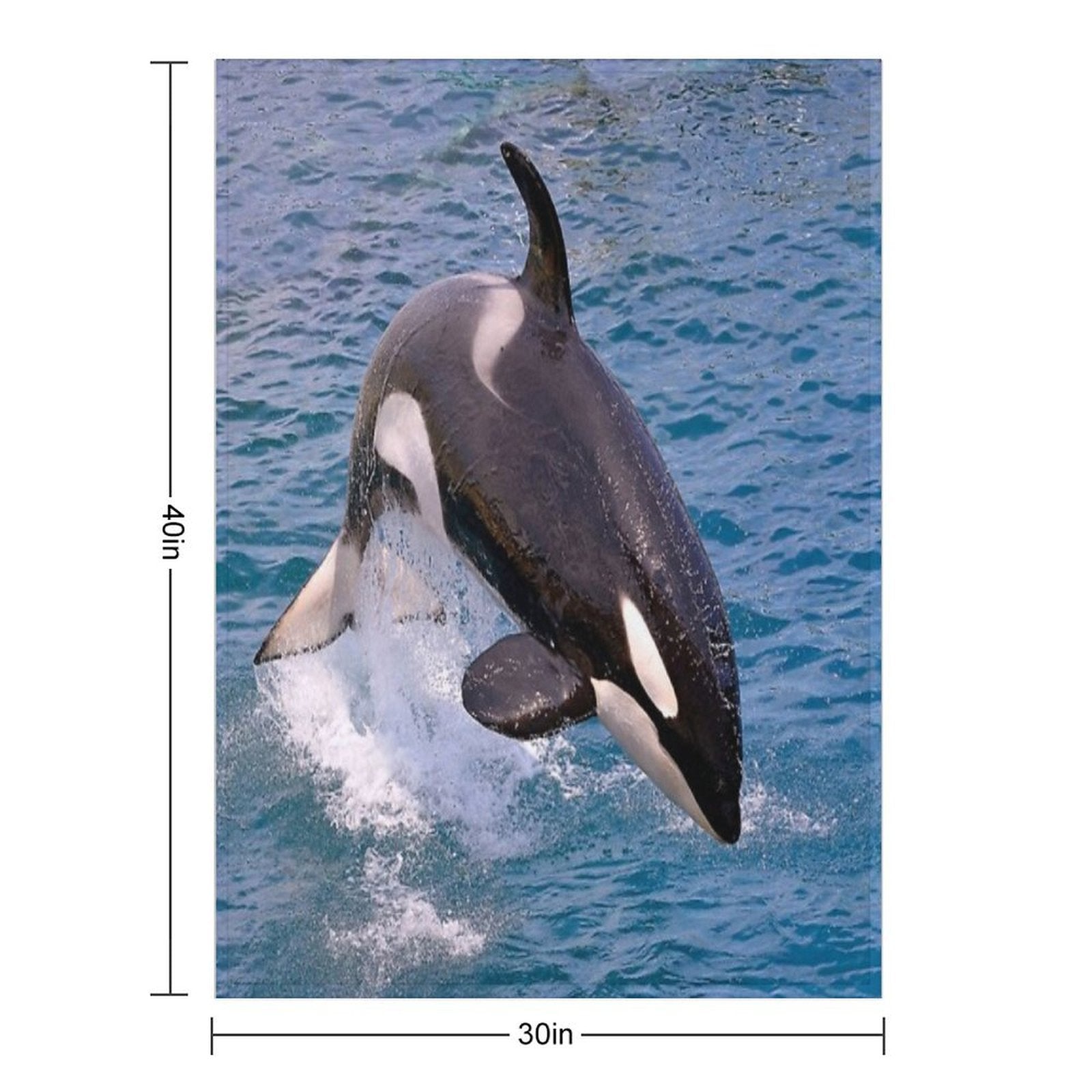 Killer Whale Orca Jumping Gift-ready Throw Blanket