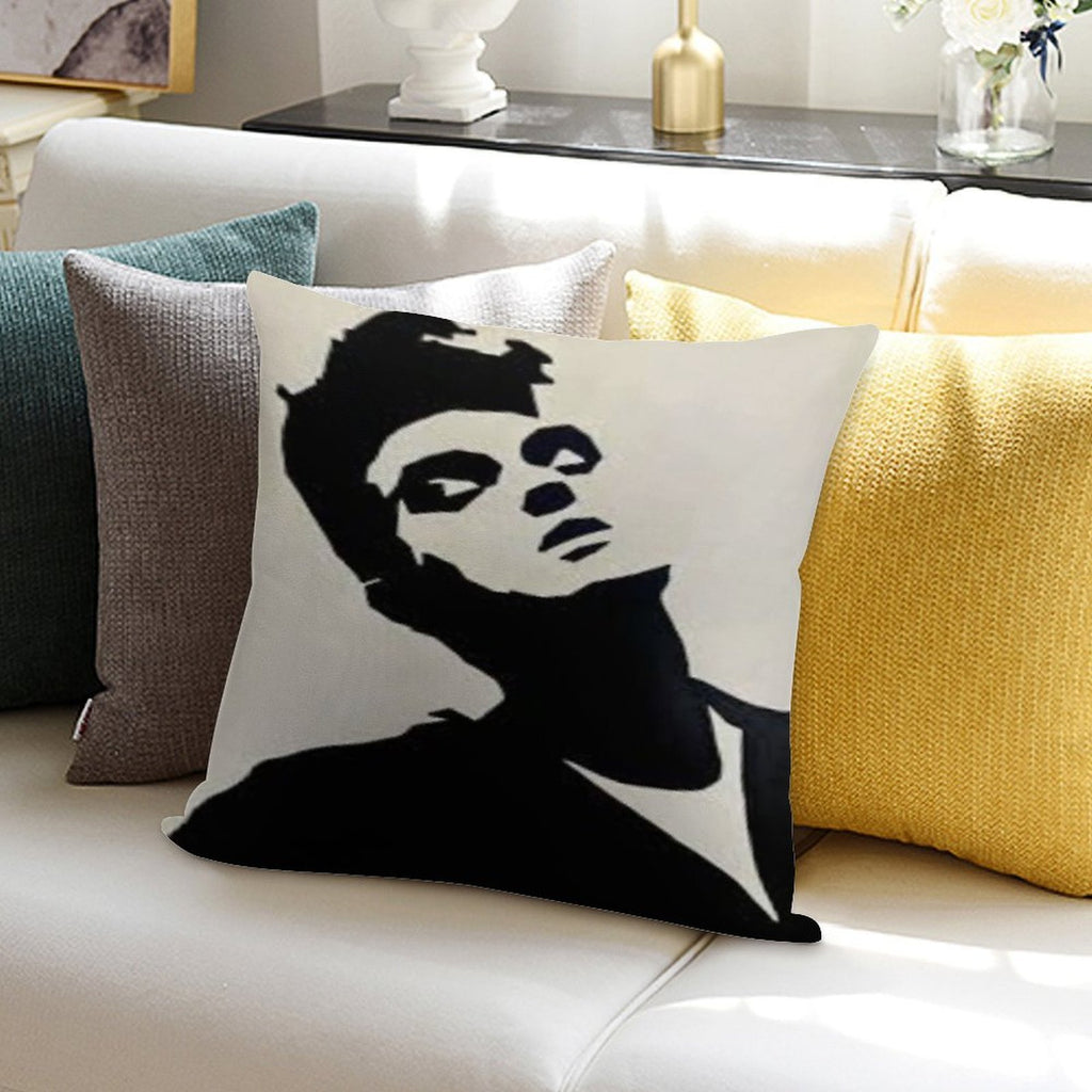 Morrissey Soft Decorative Cover Throw Pillow