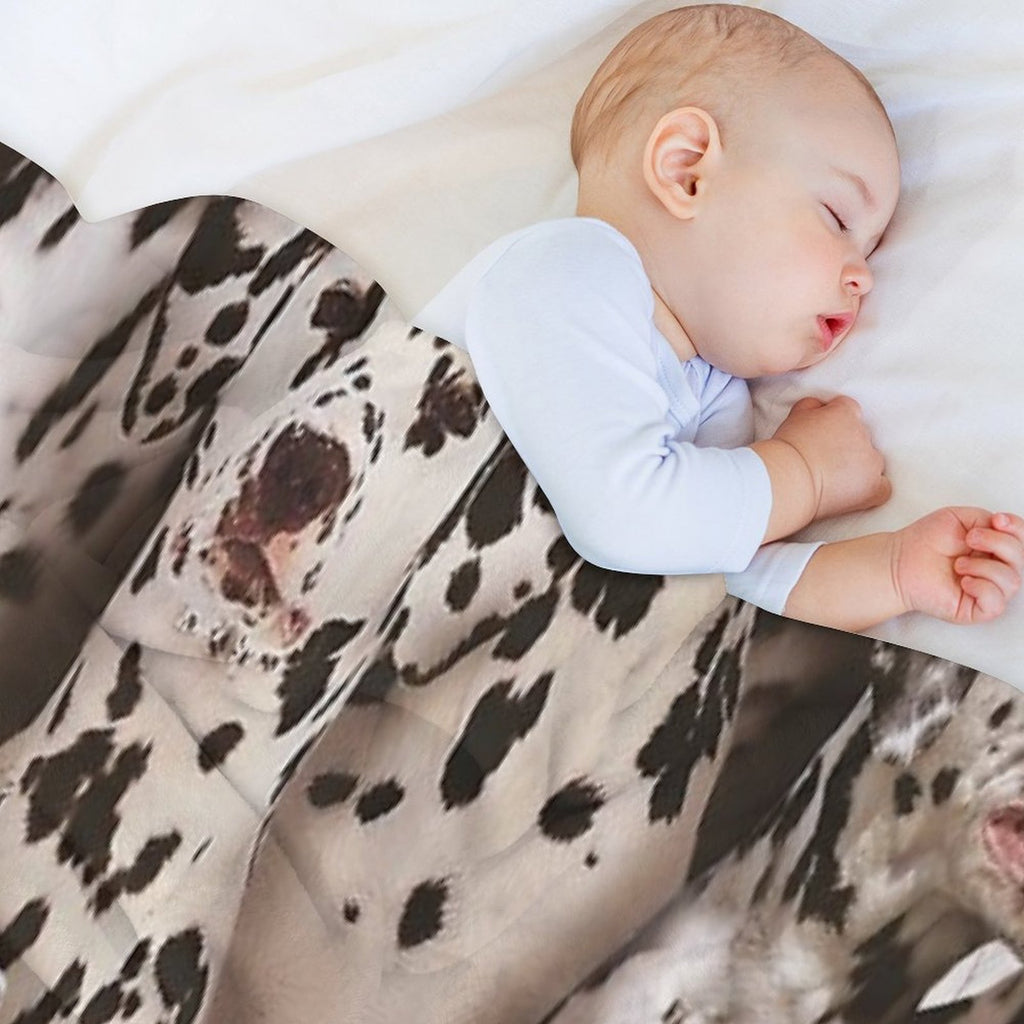Dalmatians All-season Throw Blanket