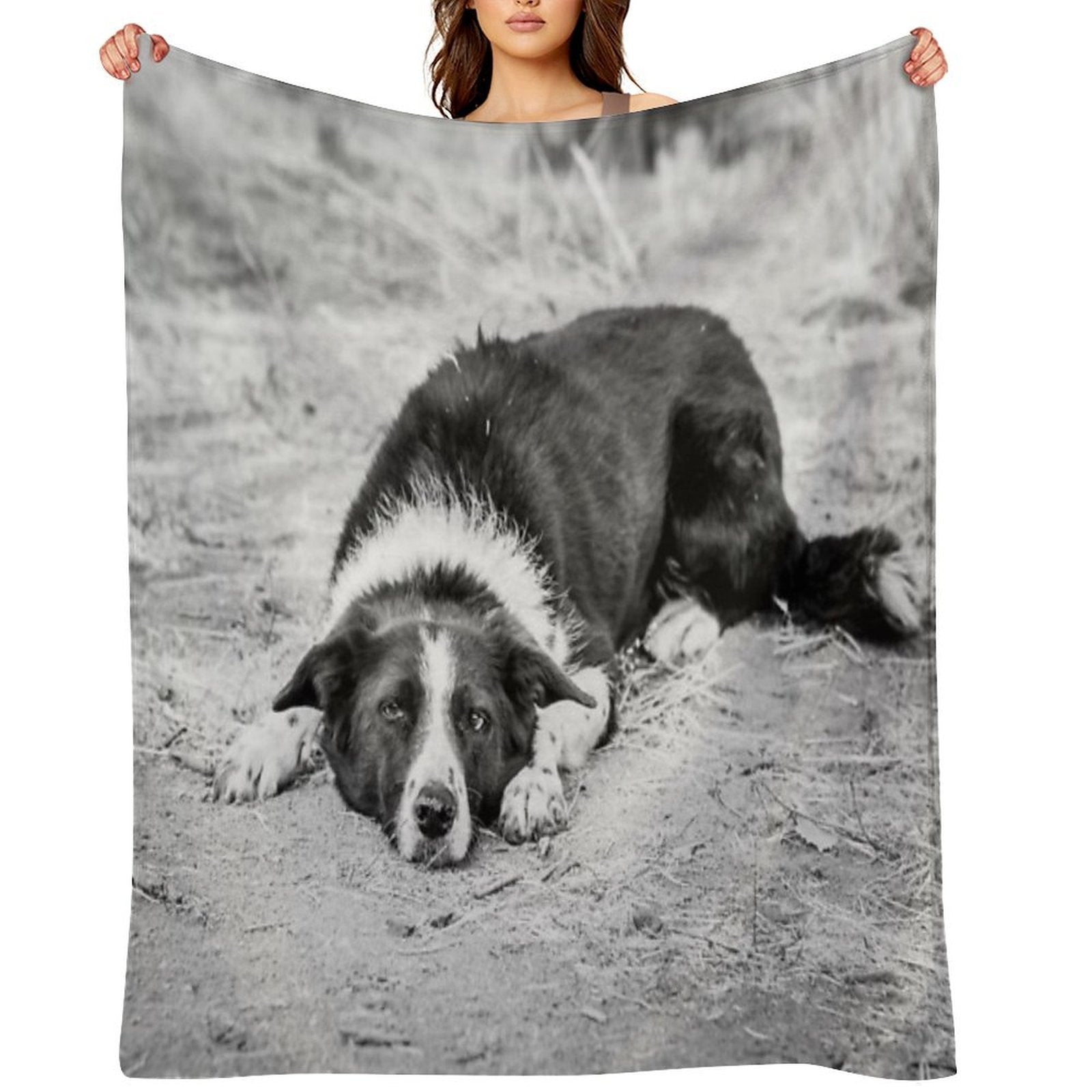 Black And White Border Collie Lying on Ground Compact Throw Blanket