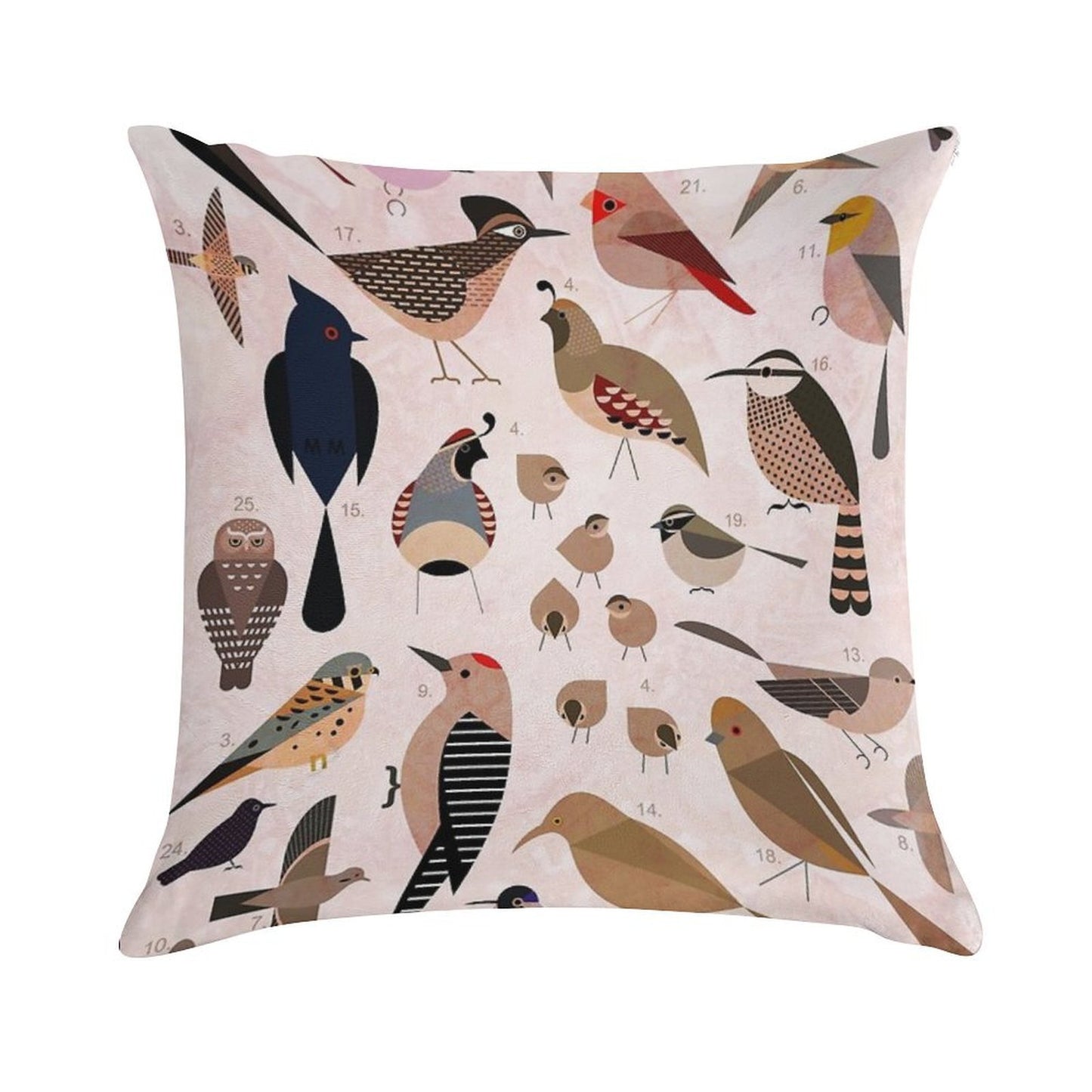 Sonoran Birds Soft Reinforced Edging Throw Pillow