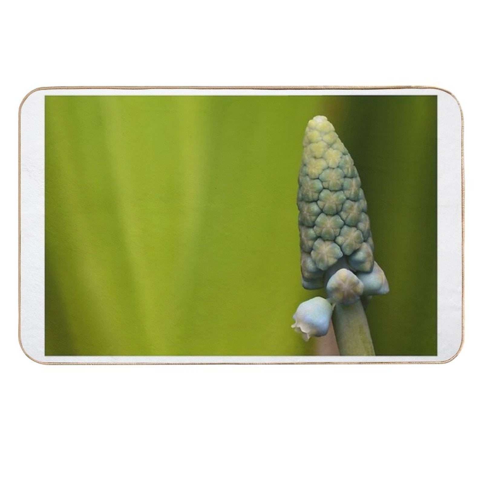 Grape Hyacinth Macro – Geometric Nature  Fade-Resistant Bath Mat