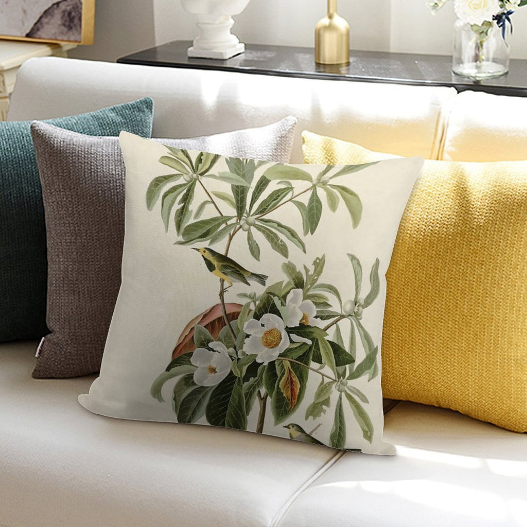 Bachman's Warbler - John James Audubon Birds of America Soft Gift Ready Throw Pillow