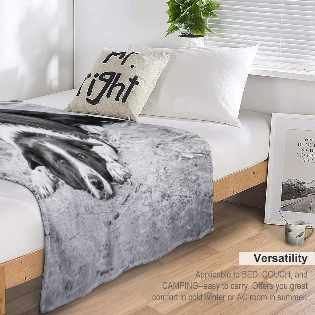 Black And White Border Collie Lying on Ground Compact Throw Blanket