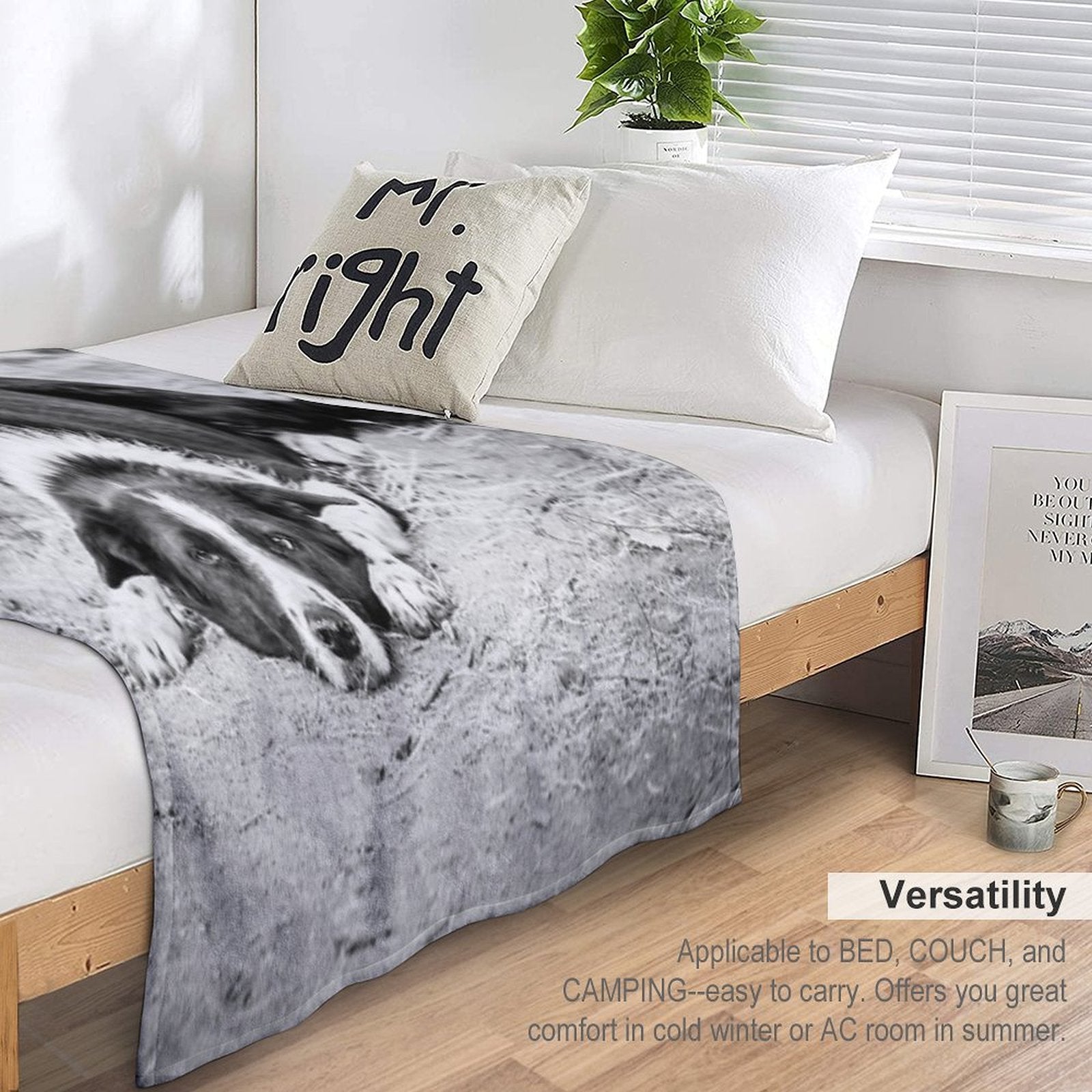 Black And White Border Collie Lying on Ground Compact Throw Blanket