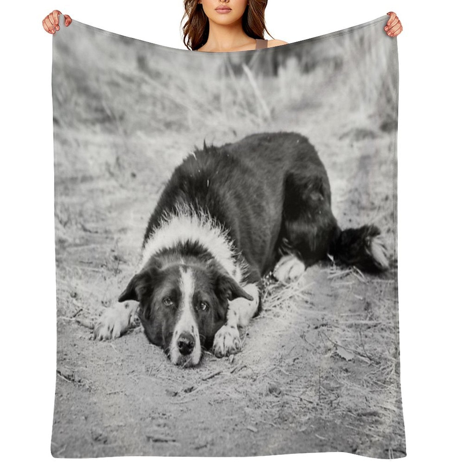 Black And White Border Collie Lying on Ground Compact Throw Blanket