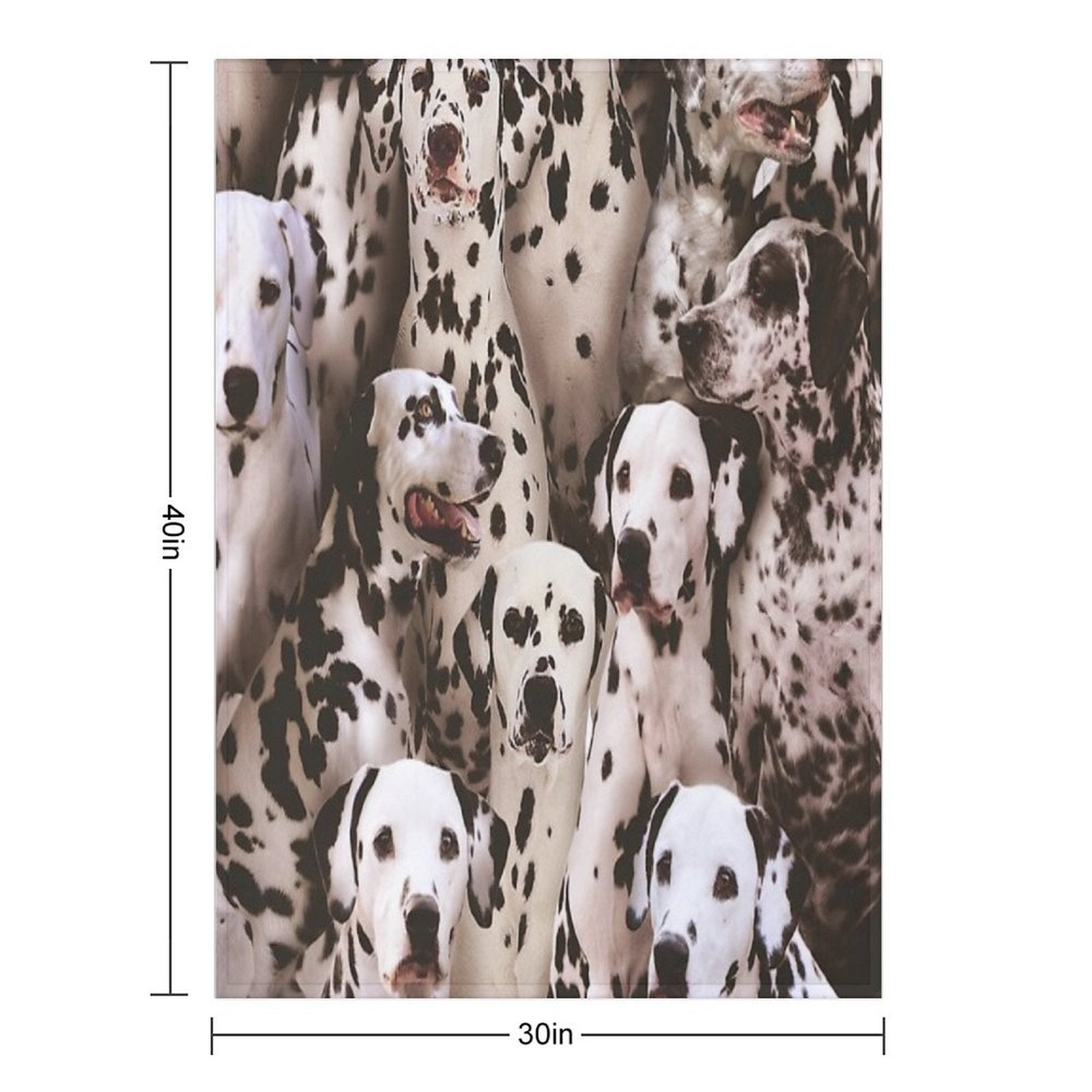 Dalmatians All-season Throw Blanket
