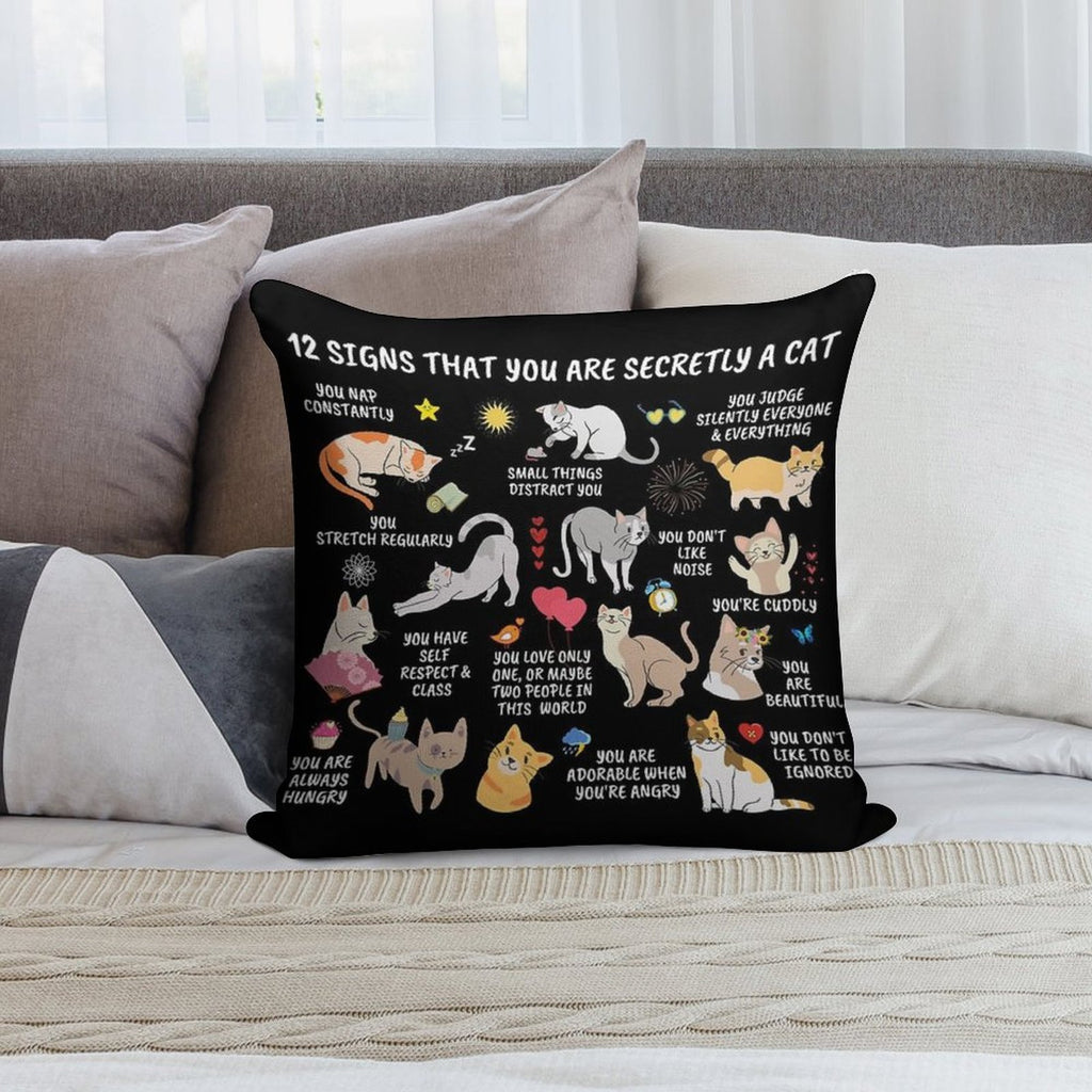 12 Signs That You Are Secretly A Cat Gifts For Cat Lovers Crazy Cat Lady Cat Home Decor Notebook Soft Short Plush Fabric Throw Pillow