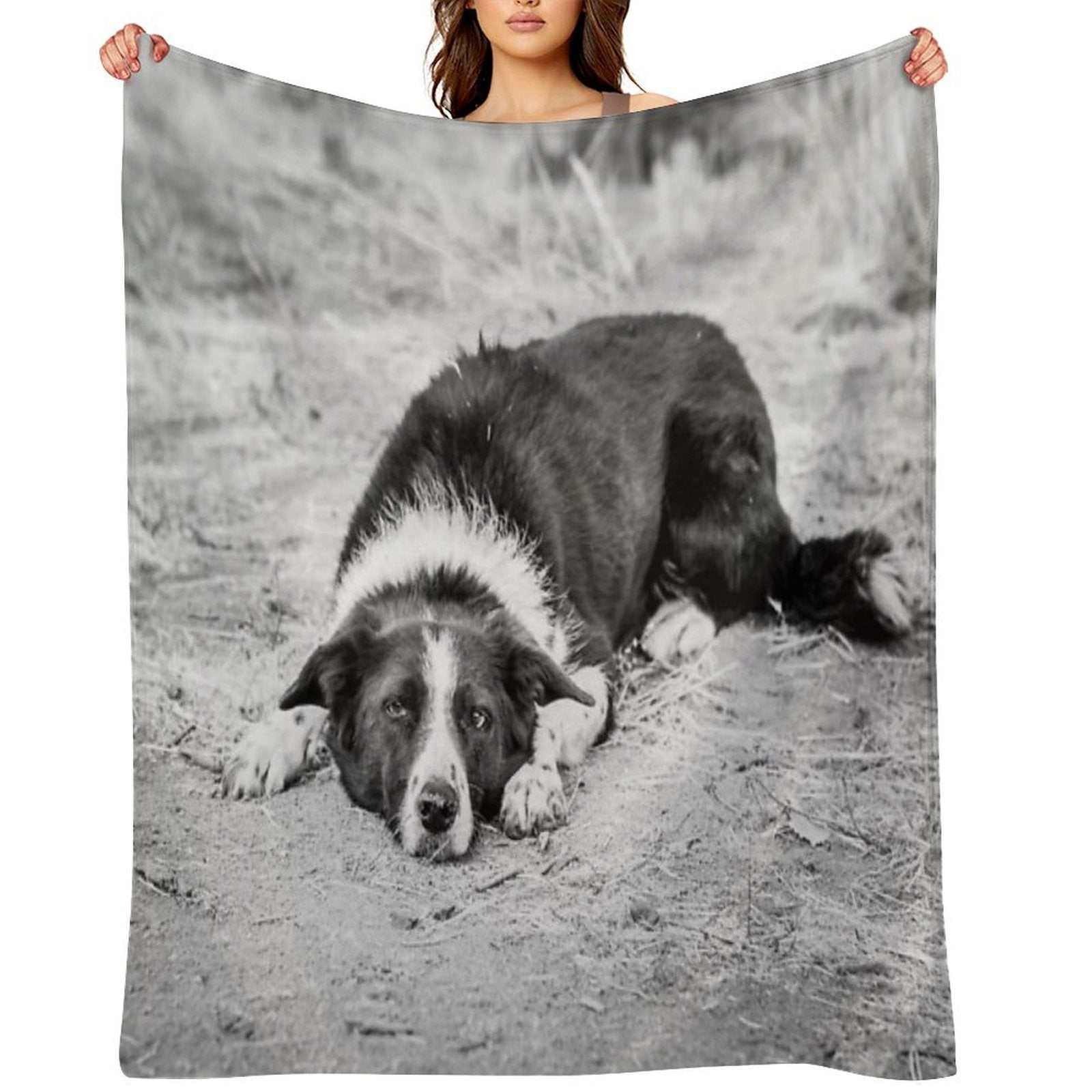 Black And White Border Collie Lying on Ground Compact Throw Blanket