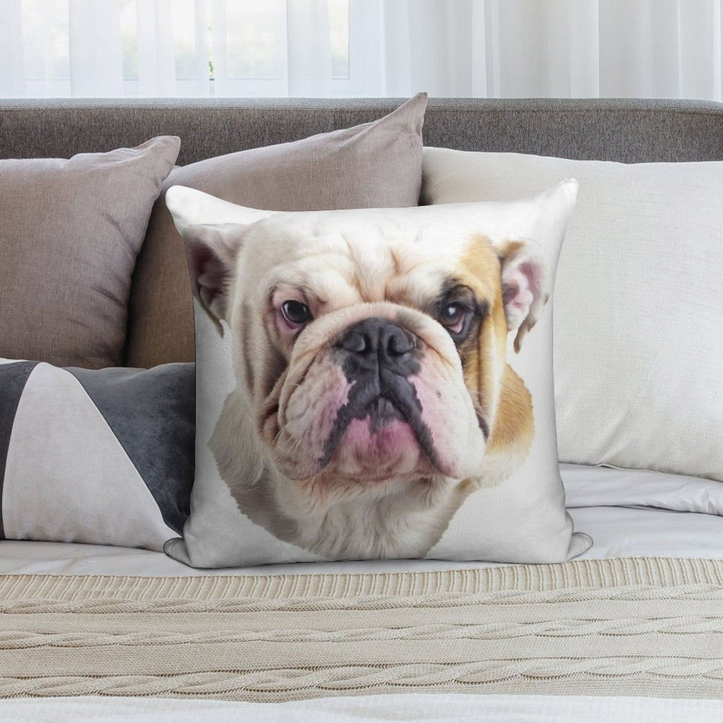 English Bulldog Head Soft Bedroom Essential Throw Pillow