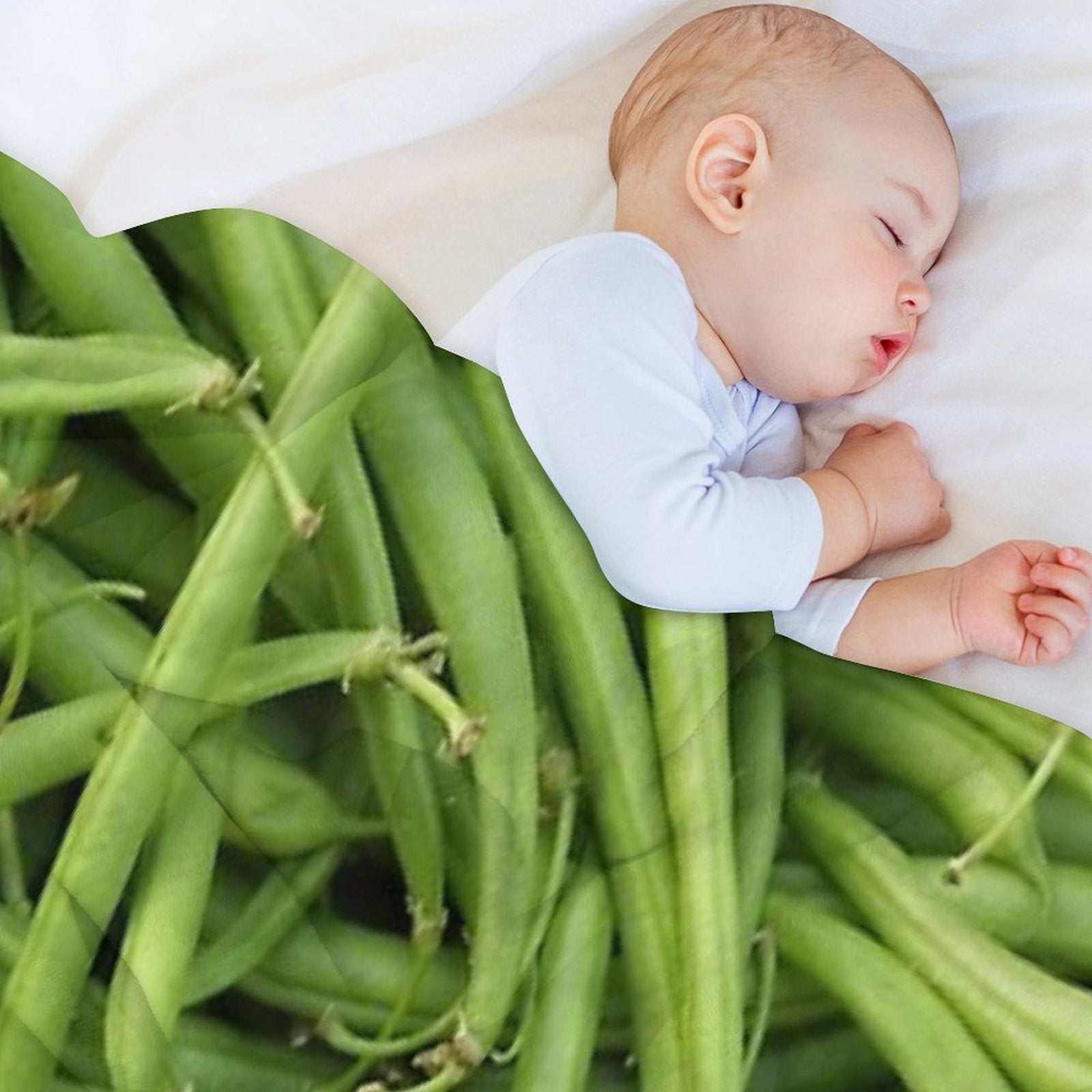 Green Beans Compact Throw Blanket
