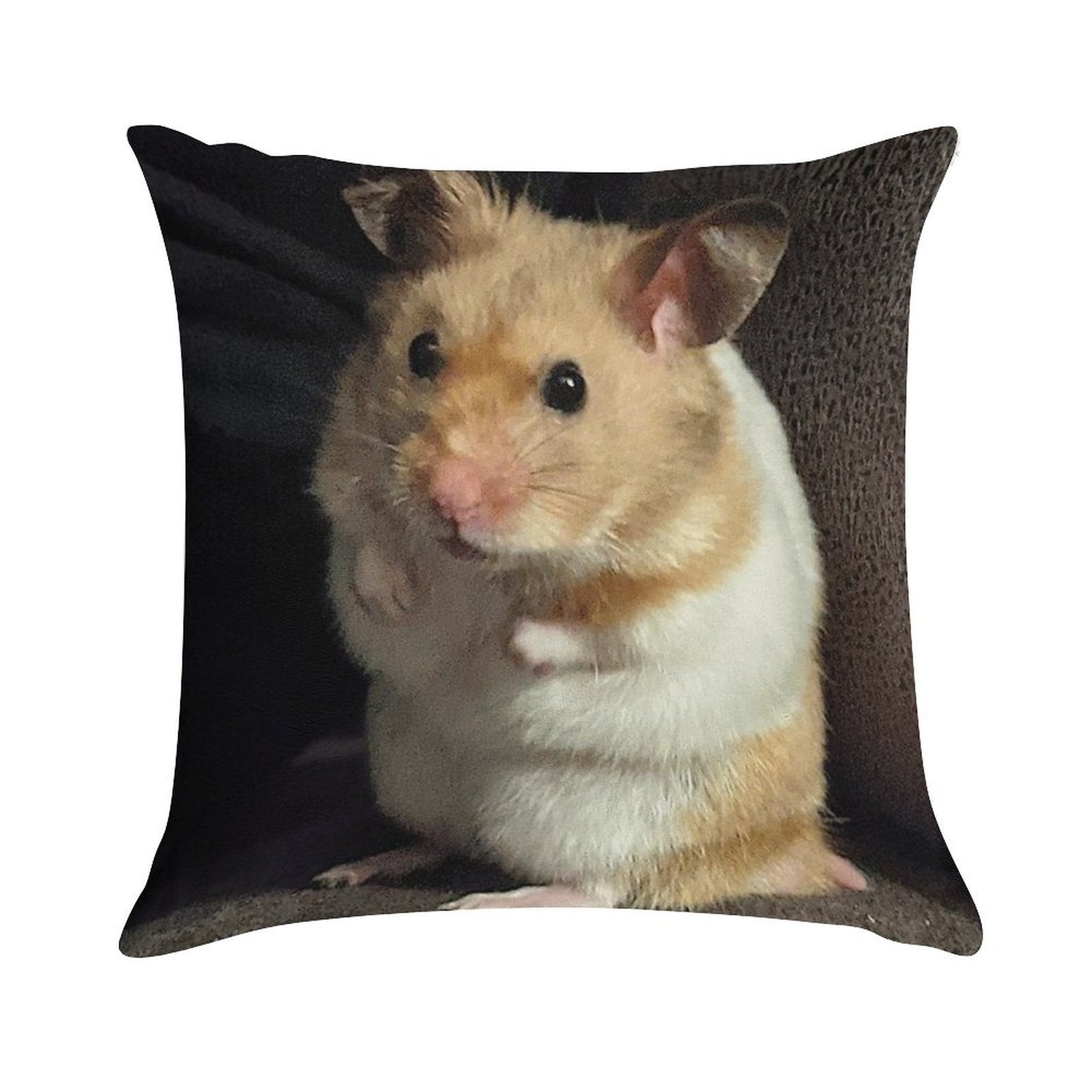 Hamster Sitting On Sofa Soft Reinforced Edging Throw Pillow