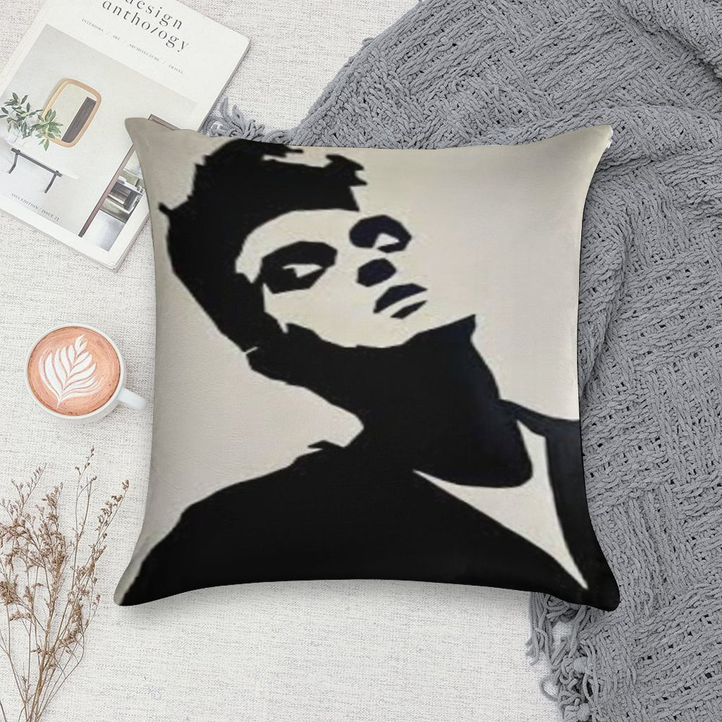Morrissey Soft Decorative Cover Throw Pillow