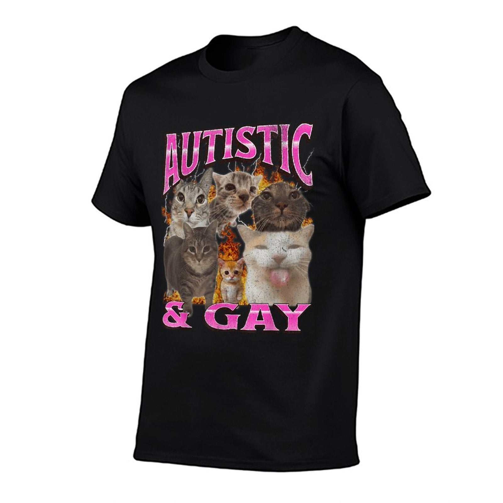 Autistic And Gay Funny Cat Meme Bootleg Graphic  Affordable Price T-Shirt